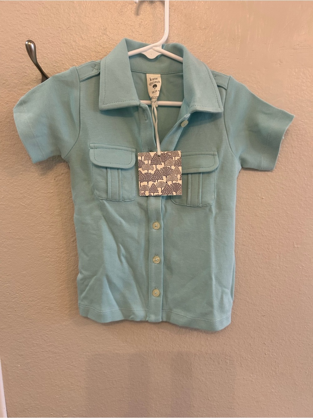 kate quinn Light Aqua Button-Front Shirt